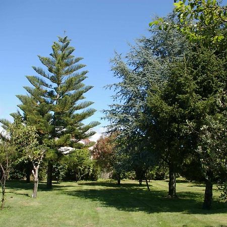 阿罗萨新镇Vivienda Tradicional Con Jardin Y Patio Interior别墅 外观 照片