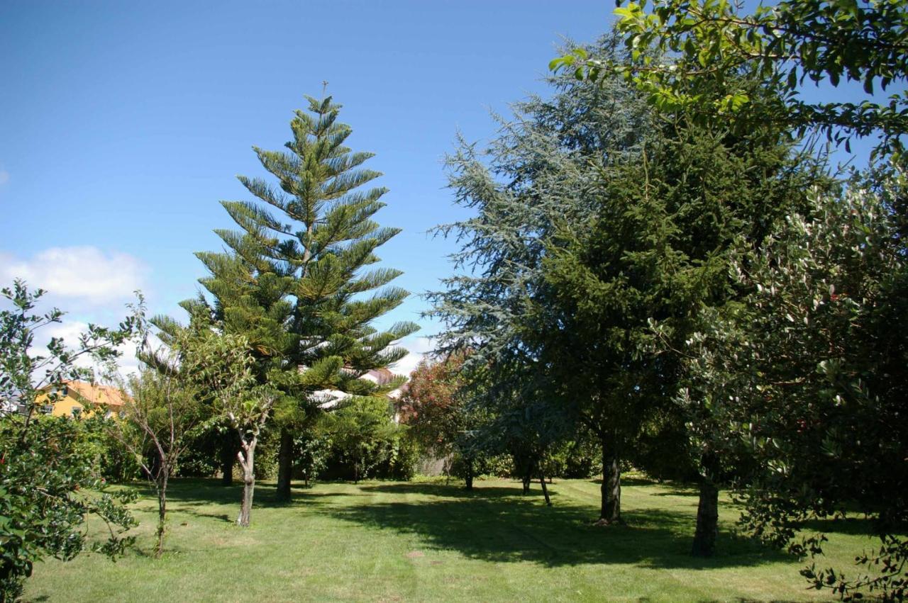 阿罗萨新镇Vivienda Tradicional Con Jardin Y Patio Interior别墅 外观 照片