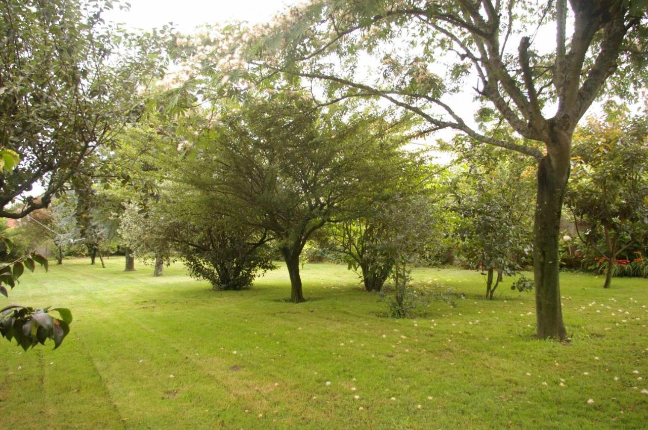 阿罗萨新镇Vivienda Tradicional Con Jardin Y Patio Interior别墅 外观 照片