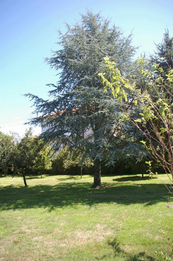 阿罗萨新镇Vivienda Tradicional Con Jardin Y Patio Interior别墅 外观 照片